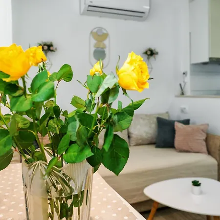 Oasis Apartment Split