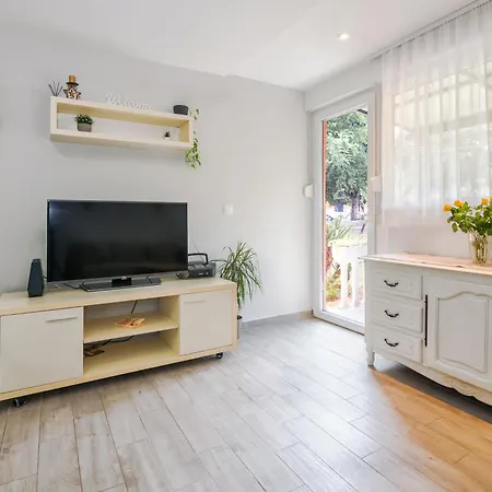 Apartament Oasis *