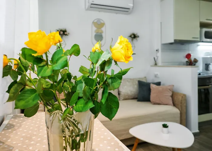 Oasis Apartment Split